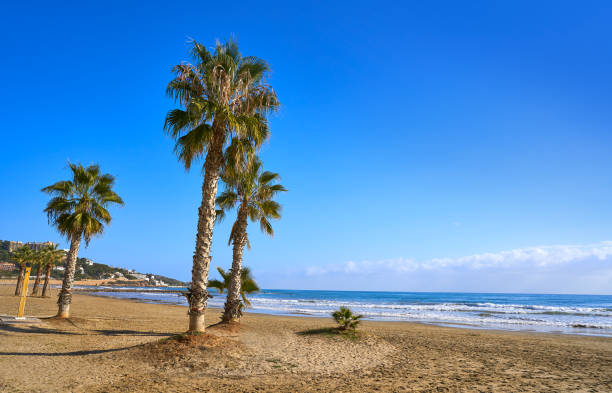 istock Benicassim Almadrava playa beach Castellon 1341609277