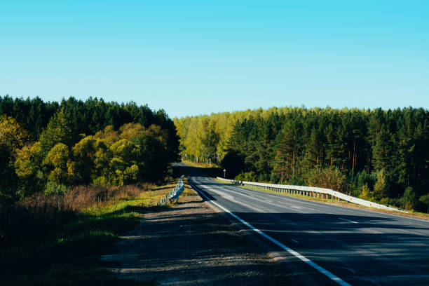 istock Landscape with road and forest, nature background 1341609493