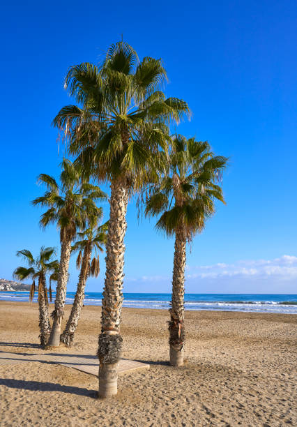 istock Benicassim Torre Sant Vicent beach beach 1341609588