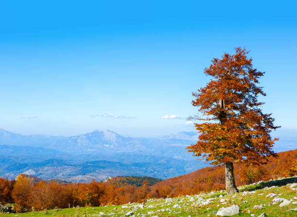 Colorful mountain landscape in sunny autumn day. View from Serra Di Crispo, Pollino National Park, southern Apennine Mountains, Italy.