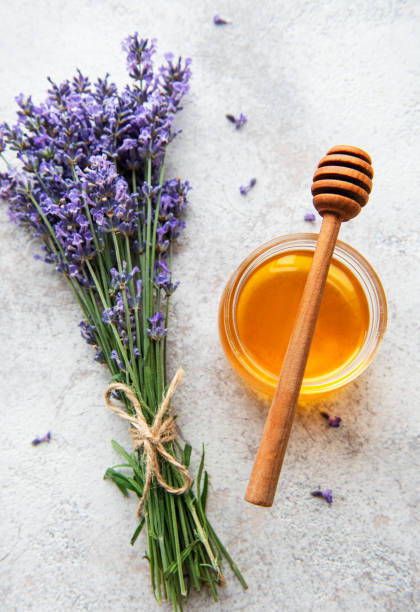 istock Jar with honey and fresh lavender flowers 1341615378