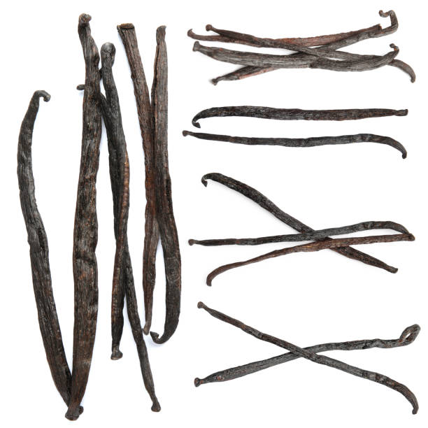 istock Set with vanilla pods on white background, top view 1341619430