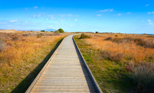 istock Prat Cabanes Torreblanca Natural Park 1341621781