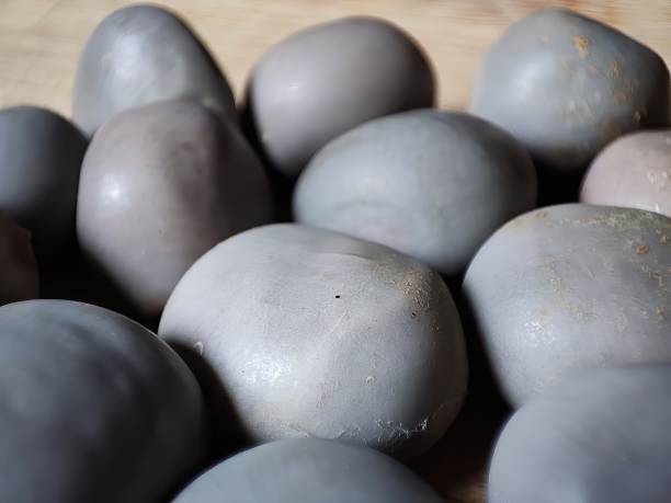 istock Closeup view of Nicker nuts 1341623053