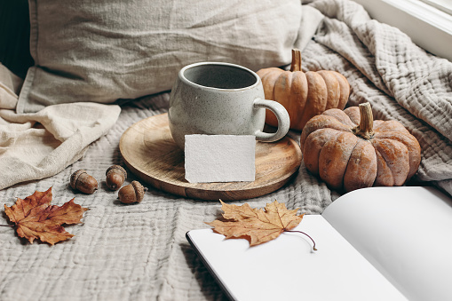 Cozy autumn morning breakfast still life. Cup of hot coffee, tea son wooden plate near window. Blank business card mockup. Fall, Thanksgiving concept, orange pumpkins, acorns and maple leaves.