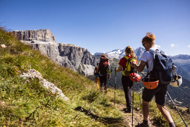 istock Alpine mountain guide climbing with family hiking group 1341626998