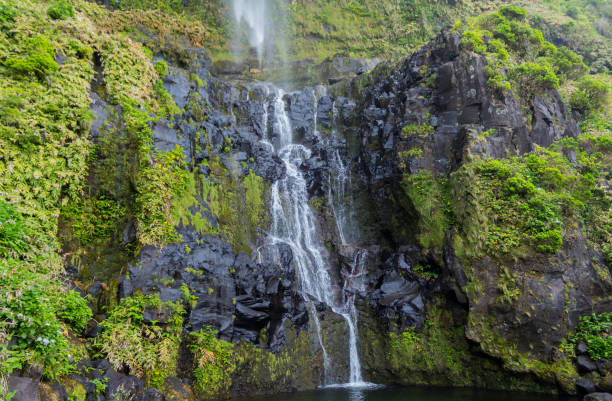 istock Azores waterfalls in Flores 1341627140