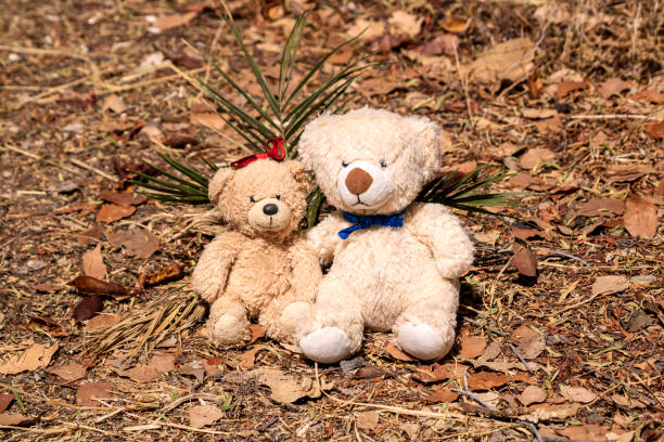istock Two teddy bears on autumn leaves 1341628938