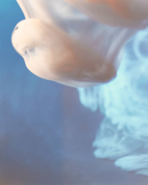 Close up of a smoke cloud Close up picture of a smoke cloud with colorful lighting. lurie stock pictures, royalty-free photos & images