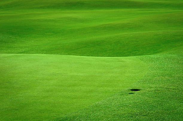 istock Golf field with a ball hole 134163001
