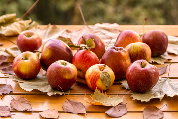 istock Apples among autumn leaves 1341630054