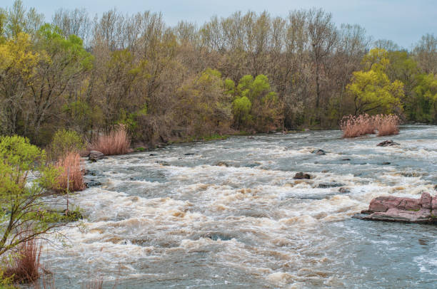 istock Fast flowing cold water mountain stream, flowing stormy stream stream, nature outdoors, fresh stream dark blue water 1341632054