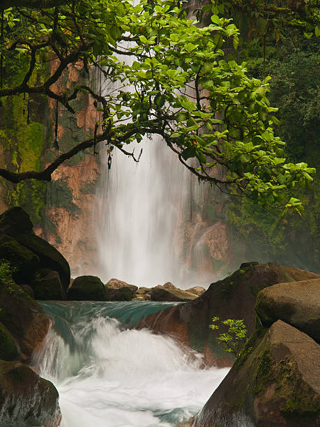 셀레스티얼 블루 워터풀 - costa rica waterfall heaven rainforest 뉴스 사진 이미지