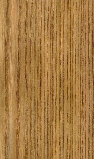 Wood Texture (Red Elm) XXL stock photo