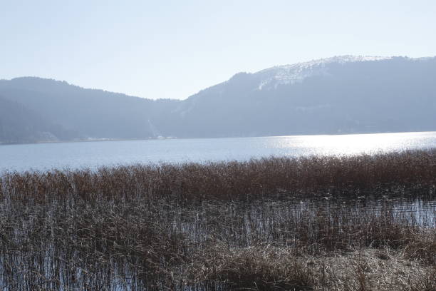 istock beauty of nature 1341638663