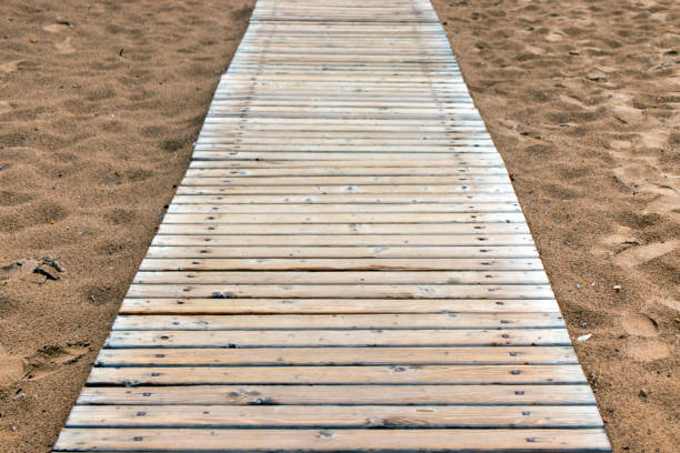 istock wooden walkway on the beach. 1341639217