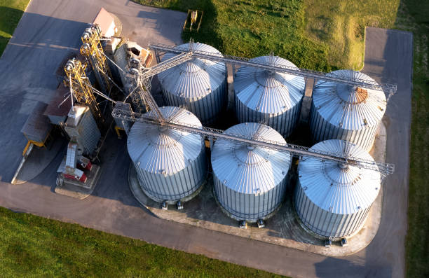 istock Silo storage at farm. Elevator for storage siliage and grain 1341640356