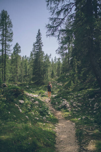 istock Female hiker follows trail through forested meadow 1341650613