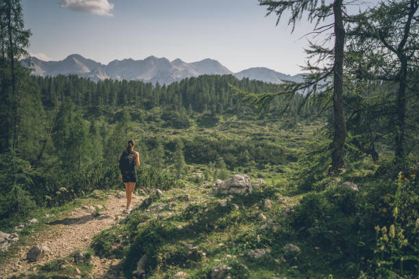 istock Female hiker follows trail through forested meadow 1341650643