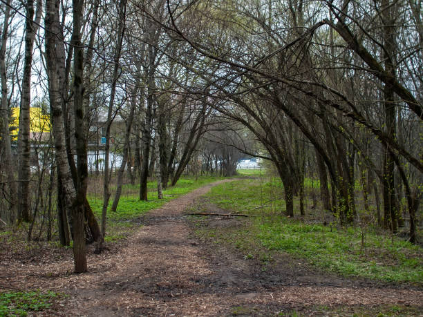 istock Dirty dirt road through the park in the spring 1341650990