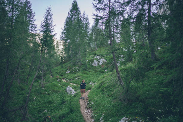 istock Male hiker follows trail through grassy meadow 1341651605