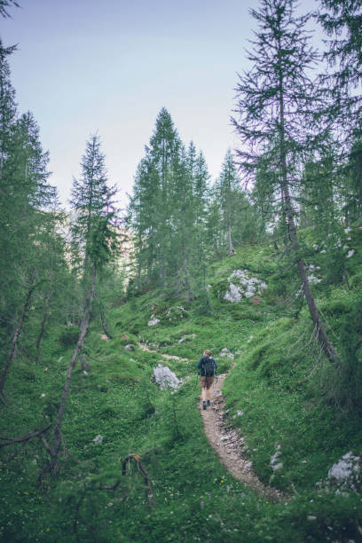 istock Male hiker follows trail through grassy meadow 1341651644