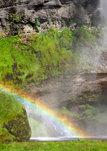 istock Rainbow in front of Seljalandsfoss waterfall, Iceland 1341655129