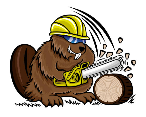 Beaver icon with chainsaw. vector art illustration