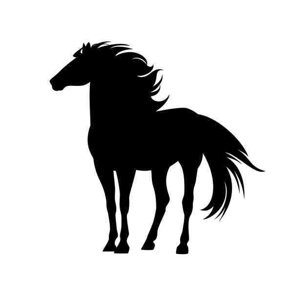 ilustrações, clipart, desenhos animados e ícones de em pé mustang cavalo preto e branco vetor silhueta esboço retrato - silhouette white background black white