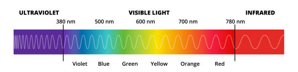 Vector diagram with the visible light spectrum. Visible light, infrared, and ultraviolet. Visible electromagnetic spectrum isolated on white. Vector diagram with the visible light spectrum. Visible light, infrared, and ultraviolet. Electromagnetic spectrum visible to the human eye. Violet, Blue green, yellow, orange, red color gradient. The shceme or infographic is isolated on a white background electromagnetic stock illustrations