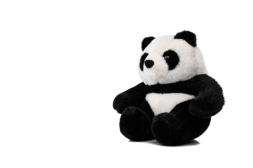 Animal toy : Panda bear doll isolated on white background.