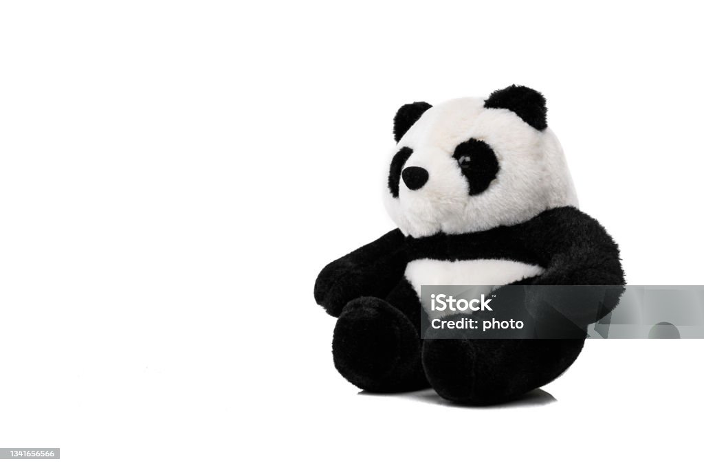 Animal toy : Panda bear doll isolated on white background. Panda - Animal Stock Photo