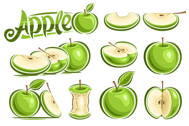 Vector set of Green Apples Vector set of Green Apples, lot collection of cutout illustrations whole and sliced natural apples with cartoon design leaf and stem on white background, unique brush lettering for green word apple. green apple slices stock illustrations