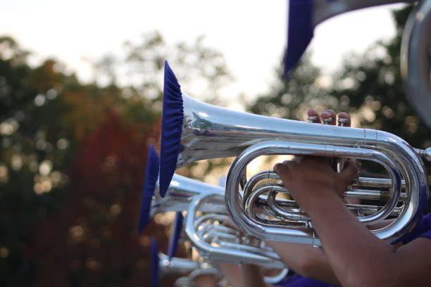 istock Mellophones in the Stands 1341656982