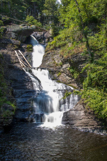 istock Cascading waterfall in the middle of a forest 1341659498