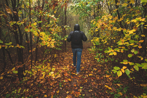 Rear view of active man hiking on autumn forest.