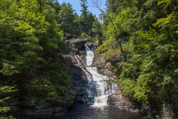 istock Cascading waterfall in the middle of a forest 1341659830