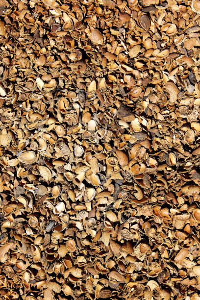 Almond shells texture in Teruel Albarracin of Spain