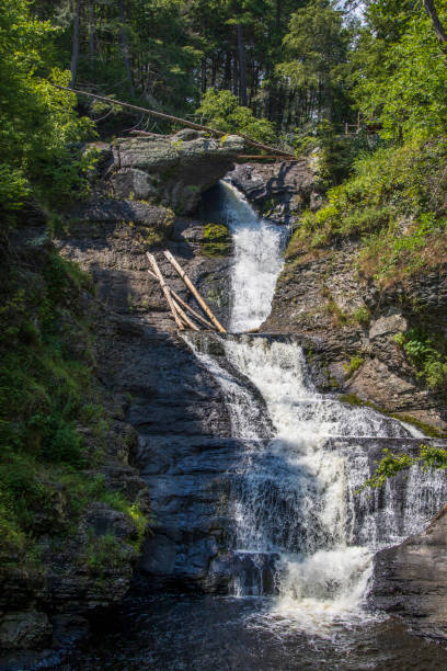 istock Cascading waterfall in the middle of a forest 1341659869