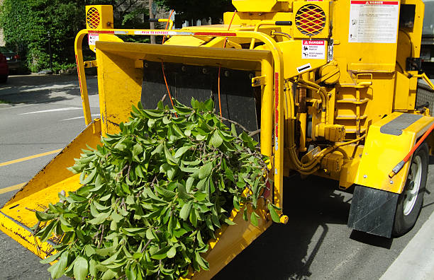 broyeur de branches - broyeur de branches photos et images de collection