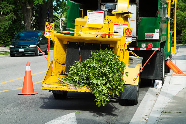 Wood Chipper stock photo