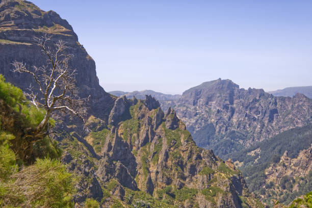 istock Nice sunset over mountains in Madeira - Portugal 1341662844