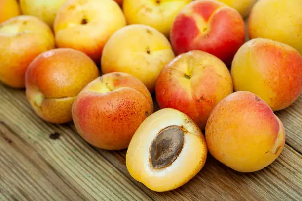 Photo of Apricots fruit on wooden table. Vitamin fruits