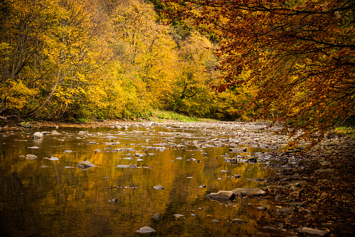 Looking out across the American River,with a stunning Autumn reflection.