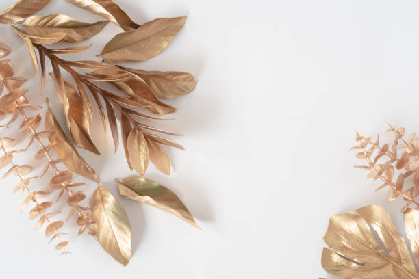 istock Gold tropical palm leaves Monstera on white background. Flat lay 1341664459