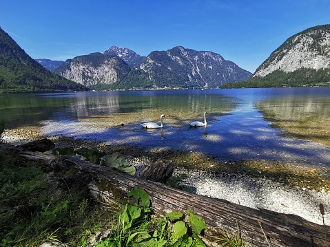 Lakes and Mountains on 10 Lakes tour through Austria