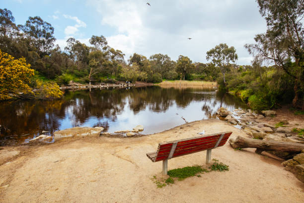 istock Darebin Parklands in Melbourne Australia 1341666633