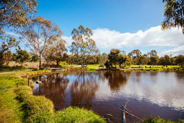 istock Darebin Parklands in Melbourne Australia 1341666648