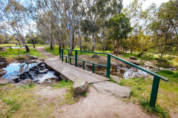 istock Darebin Parklands in Melbourne Australia 1341666658