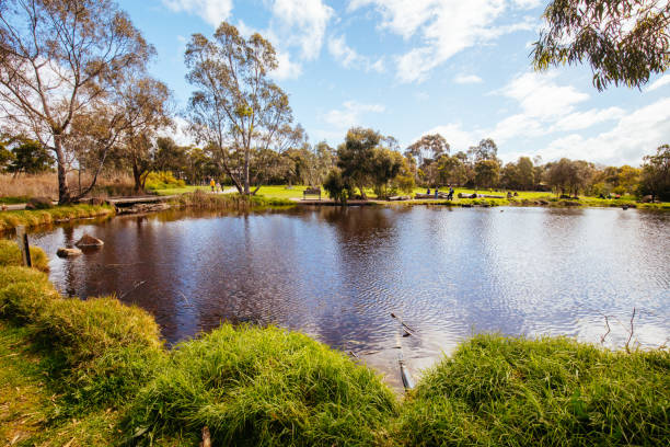 istock Darebin Parklands in Melbourne Australia 1341666679